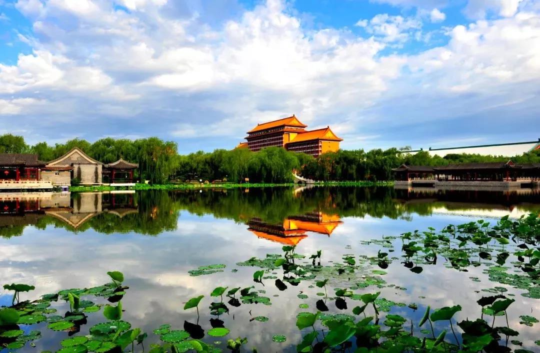 廊坊盛会,嘉宾云集,观众热情如火